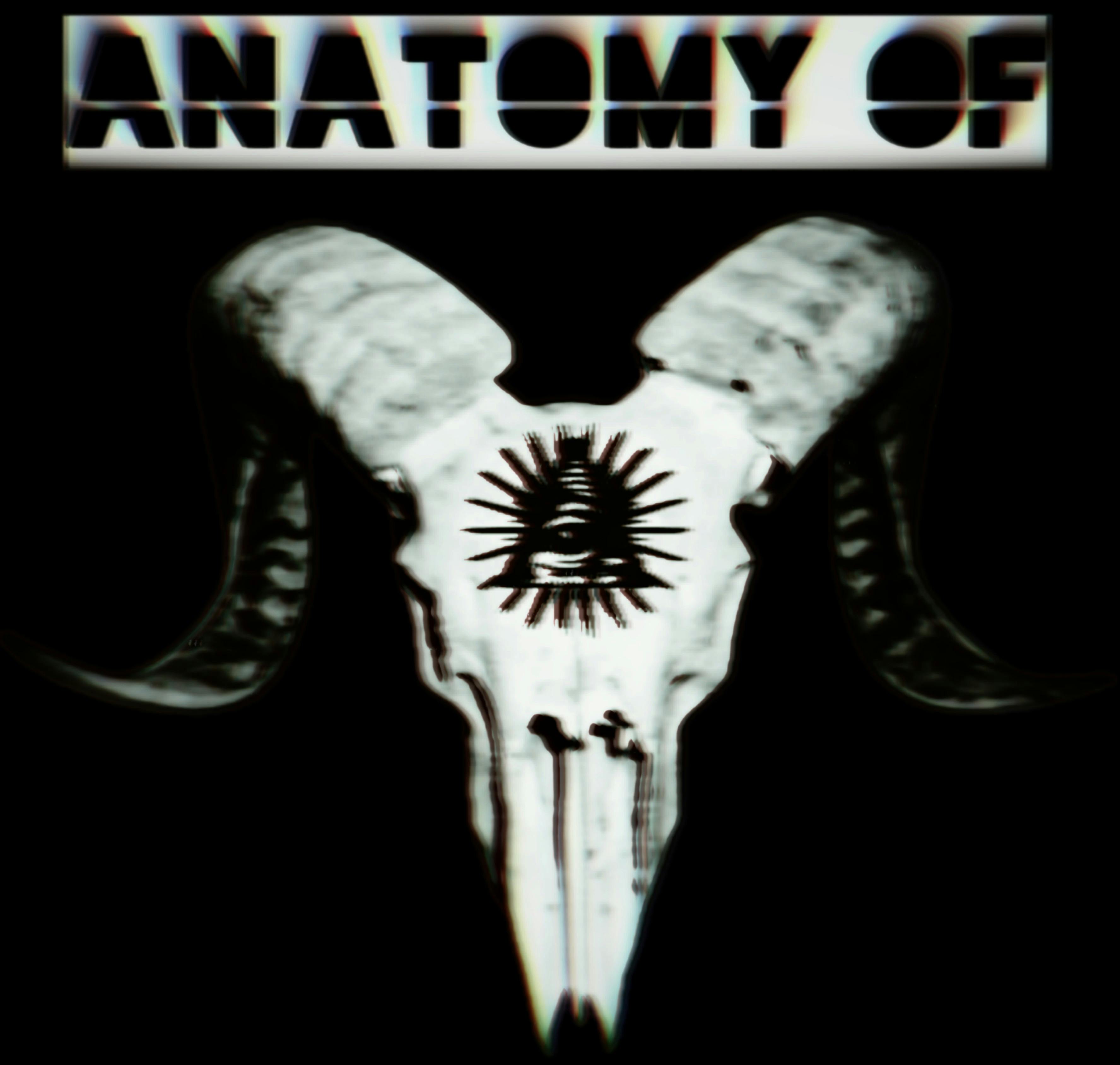 User avatar for Anatomy Of