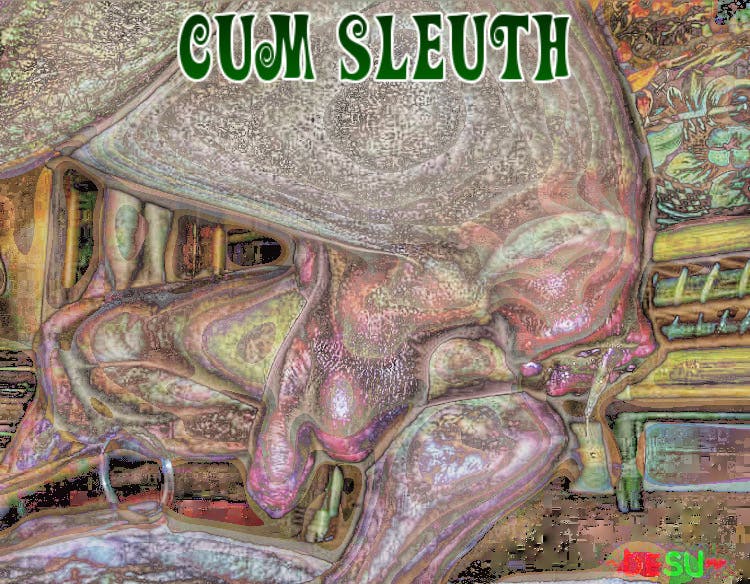 User avatar for Cum Sleuth