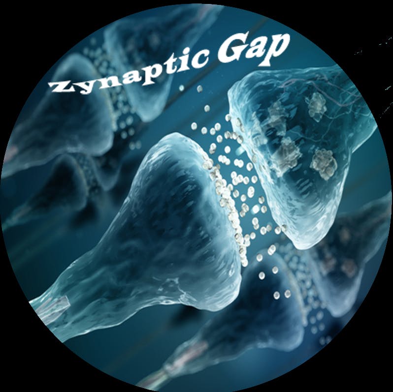 Zynaptic Gap