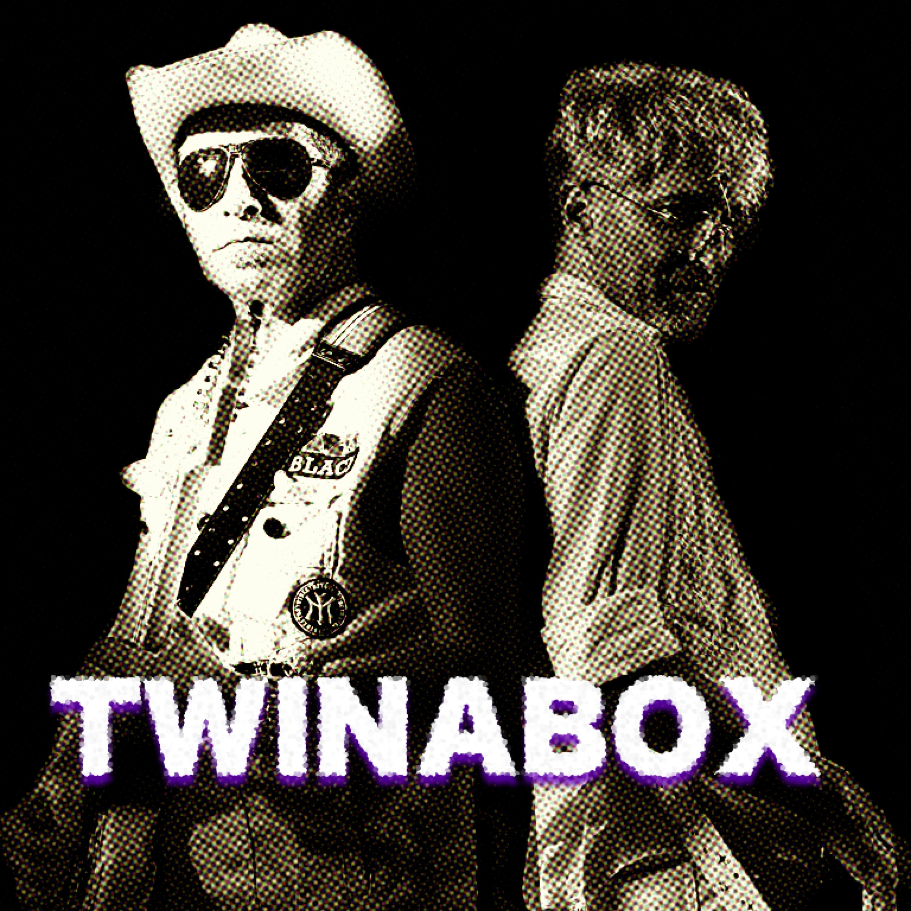 Album art for Twinabox