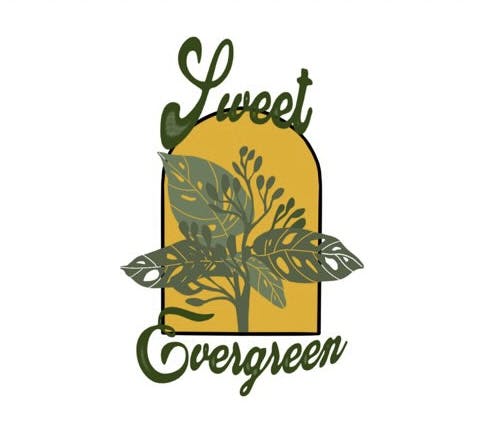 Sweet Evergreen